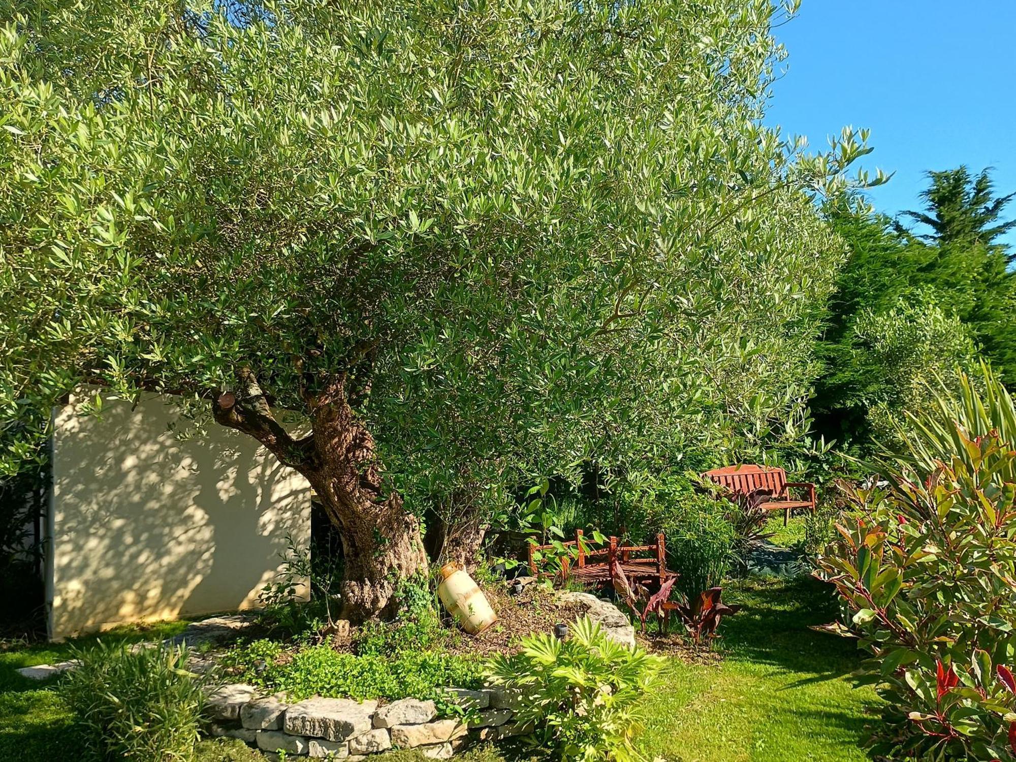 Gite Les Rosiers Au Domaine Des Sauvineries Saint-Germain-de-Princay Ngoại thất bức ảnh